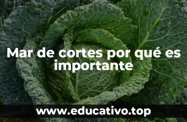 Mar de cortes por qué es importante