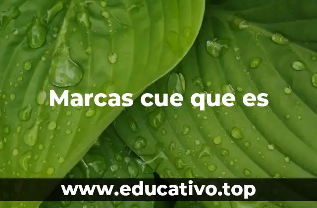 Marcas cue que es