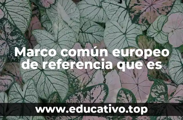 Marco común europeo de referencia que es