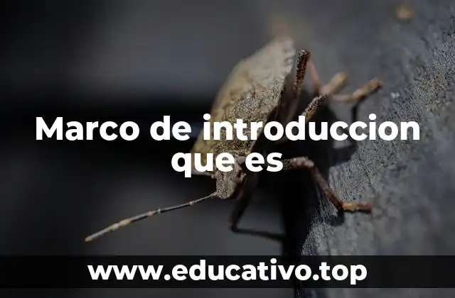 Marco de introduccion que es