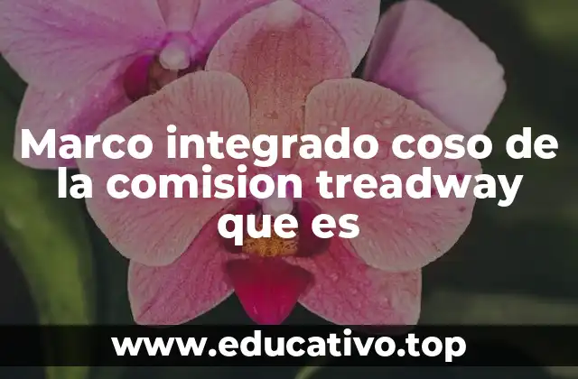 Marco integrado coso de la comision treadway que es