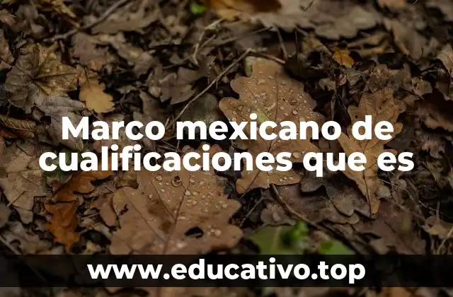 Marco mexicano de cualificaciones que es