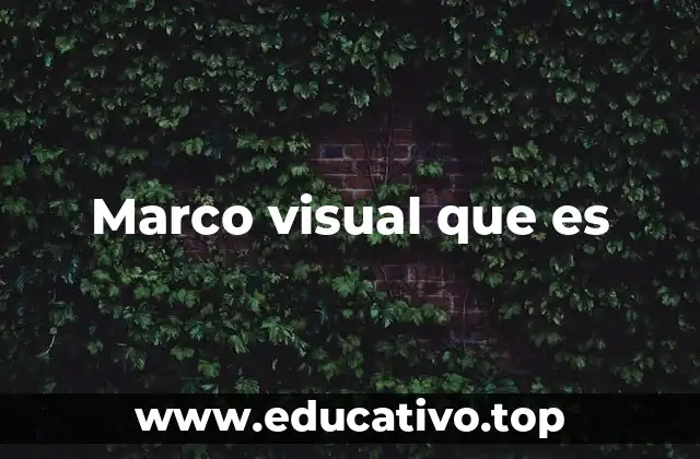 Marco visual que es