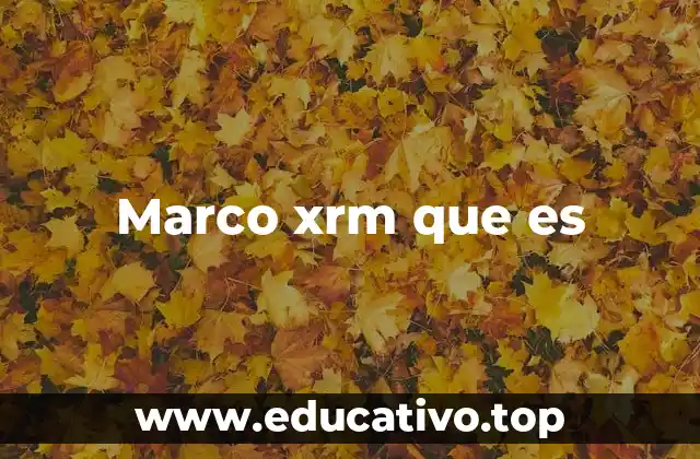 Marco xrm que es