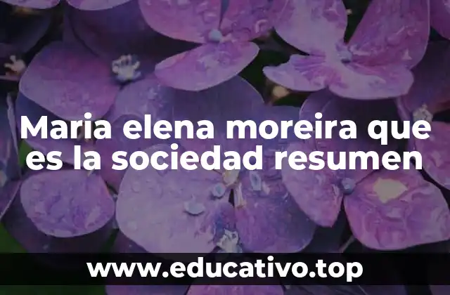 Maria elena moreira que es la sociedad resumen