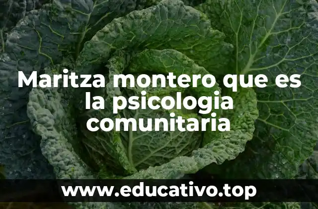 Maritza montero que es la psicologia comunitaria