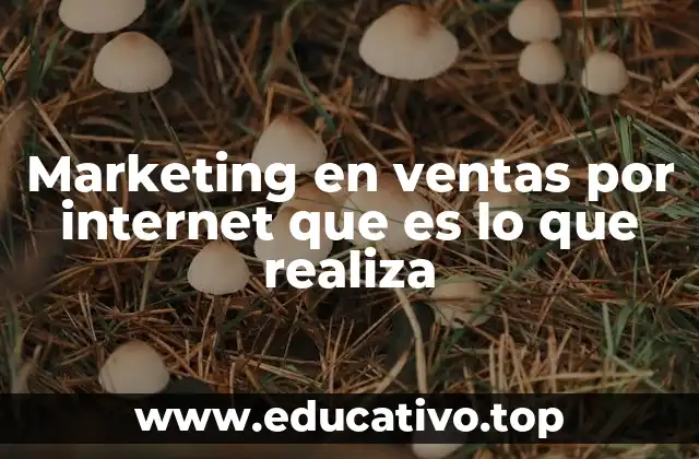 Marketing en ventas por internet que es lo que realiza