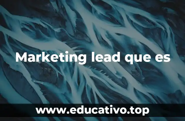 Marketing lead que es