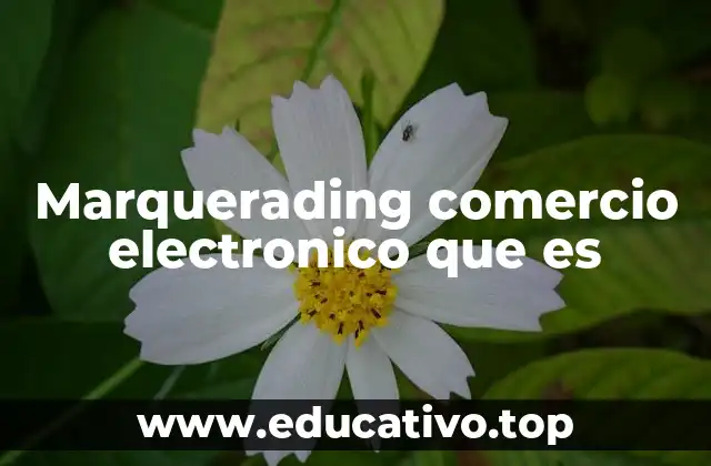 Marquerading comercio electronico que es
