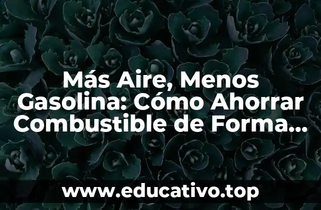 Más Aire, Menos Gasolina: Cómo Ahorrar Combustible de Forma Eficiente