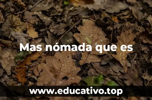 Mas nómada que es