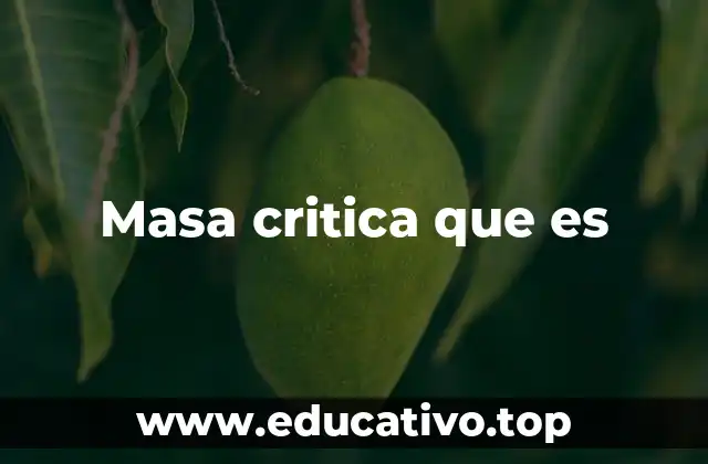 Masa critica que es