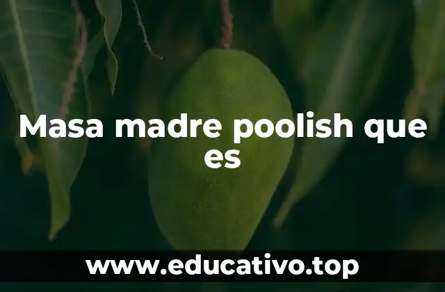 El origen histórico de la técnica Poolish