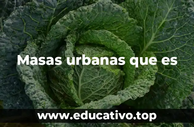 Masas urbanas que es