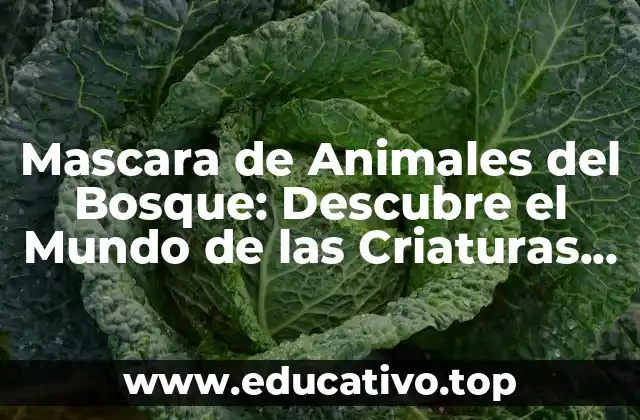 Mascara de Animales del Bosque: Descubre el Mundo de las Criaturas Salvajes