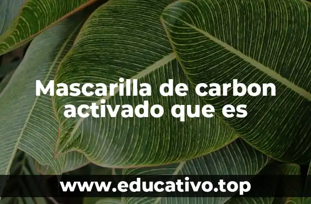 Mascarilla de carbon activado que es