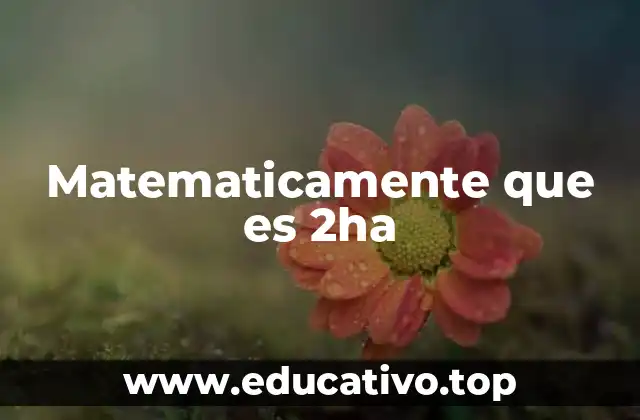 Matematicamente que es 2ha