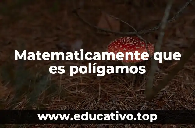 Matematicamente que es polígamos