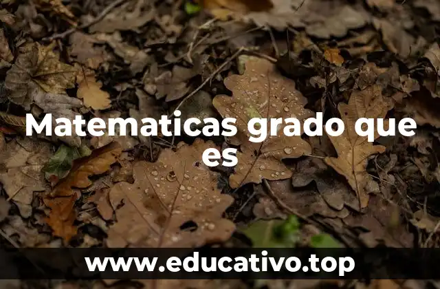 Matematicas grado que es