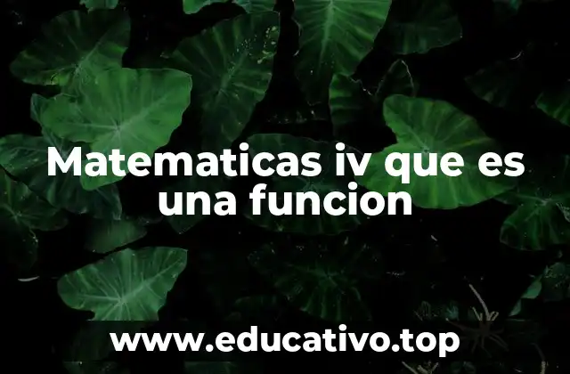 Matematicas iv que es una funcion