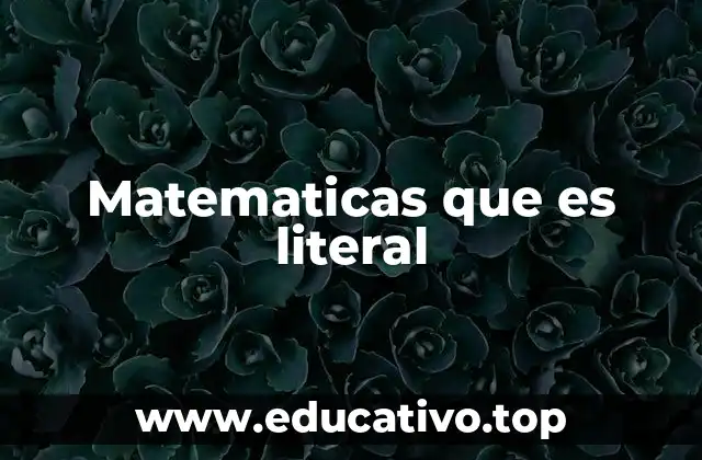 Matematicas que es literal
