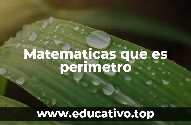 Matematicas que es perimetro