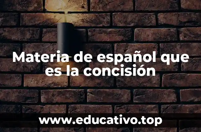 Materia de español que es la concisión