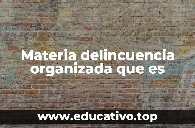 Materia delincuencia organizada que es