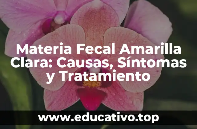 Materia Fecal Amarilla Clara: Causas, Síntomas y Tratamiento