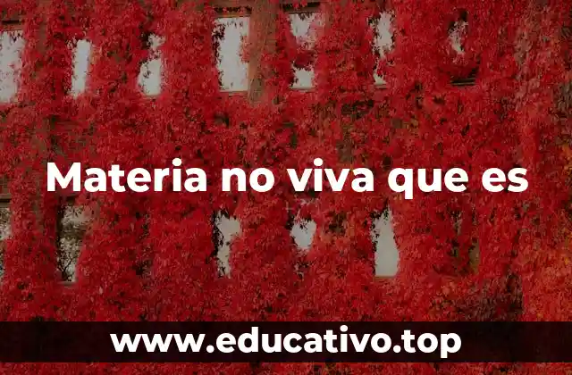 Materia no viva que es