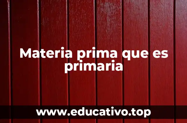 El papel fundamental de las materias primas en la economía global