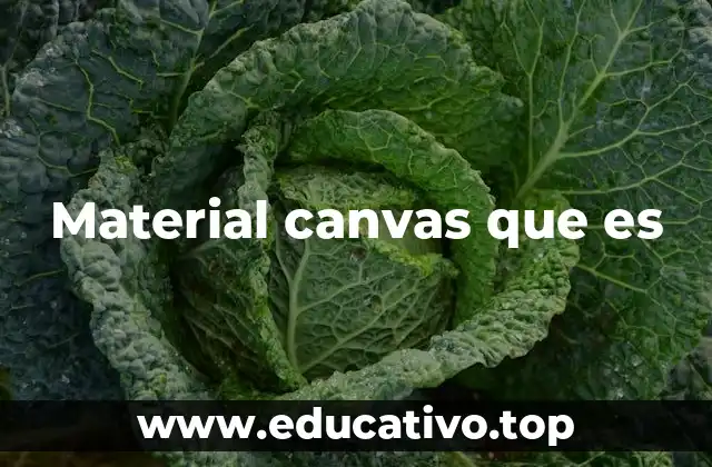 Material canvas que es