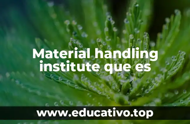 Material handling institute que es