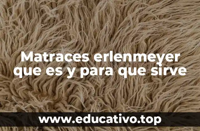 Matraces erlenmeyer que es y para que sirve