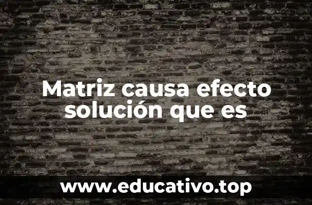 Matriz causa efecto solución que es