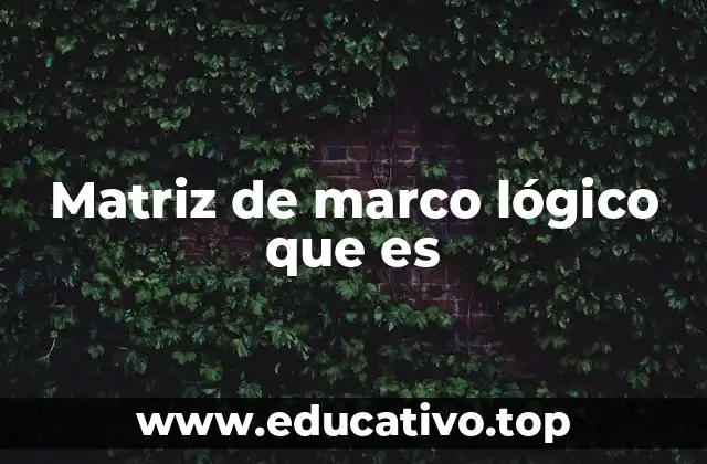 Matriz de marco lógico que es