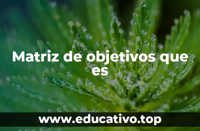 Matriz de objetivos que es