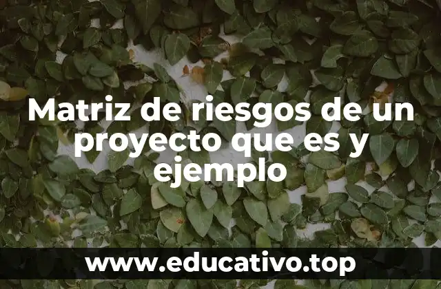 Matriz de riesgos de un proyecto que es y ejemplo