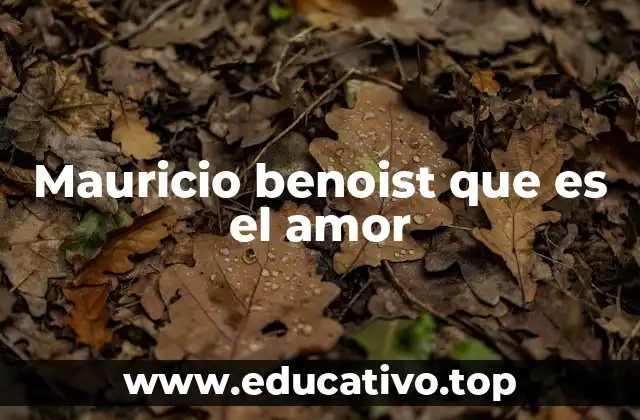 Mauricio benoist que es el amor