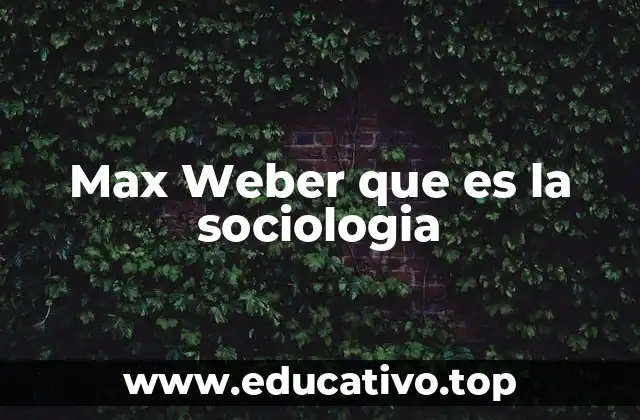 Max Weber que es la sociologia