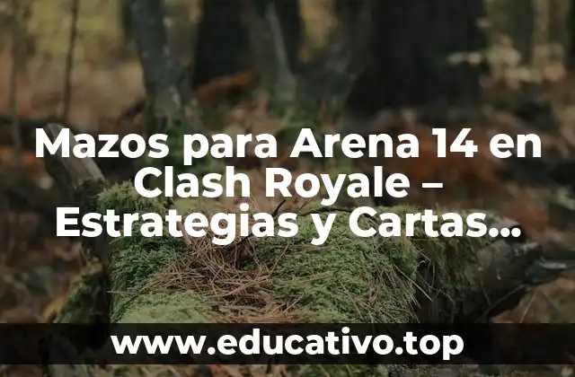 Mazos para Arena 14 en Clash Royale – Estrategias y Cartas Ganadoras