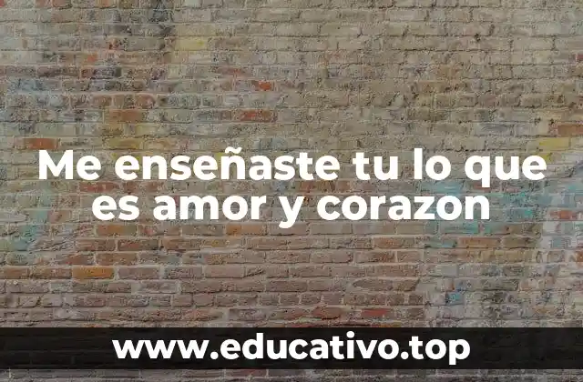 Me enseñaste tu lo que es amor y corazon