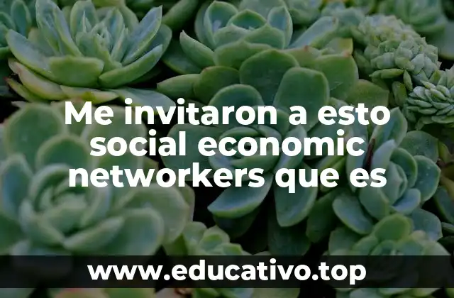 Me invitaron a esto social economic networkers que es