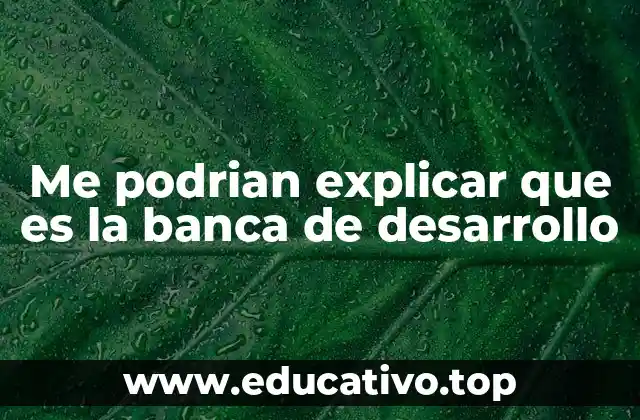 Me podrian explicar que es la banca de desarrollo