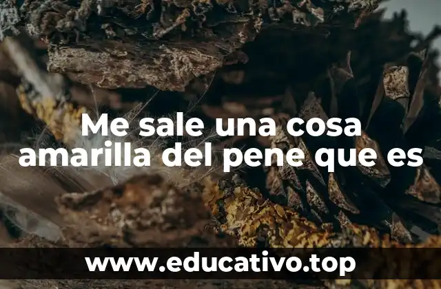 Causas comunes de secreciones anormales en el pene