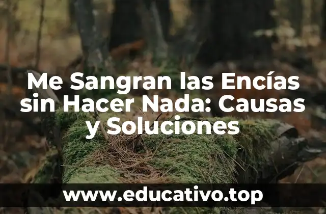 Me Sangran las Encías sin Hacer Nada: Causas y Soluciones