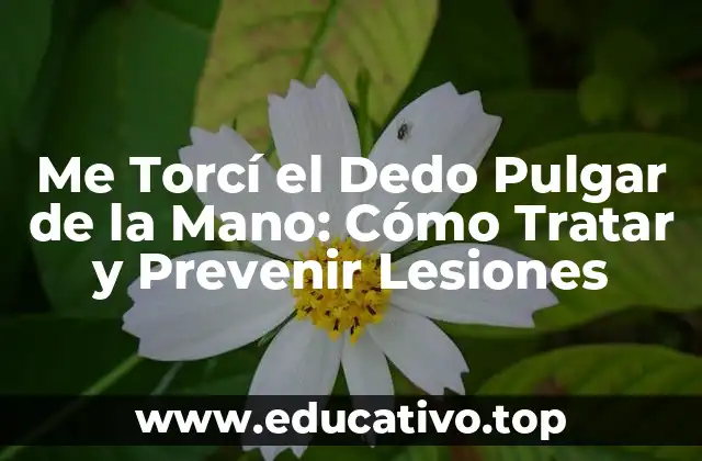 Me Torcí el Dedo Pulgar de la Mano: Cómo Tratar y Prevenir Lesiones