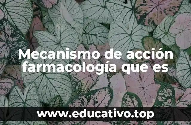 Mecanismo de acción farmacología que es