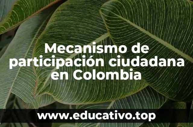 Mecanismo de participación ciudadana en Colombia