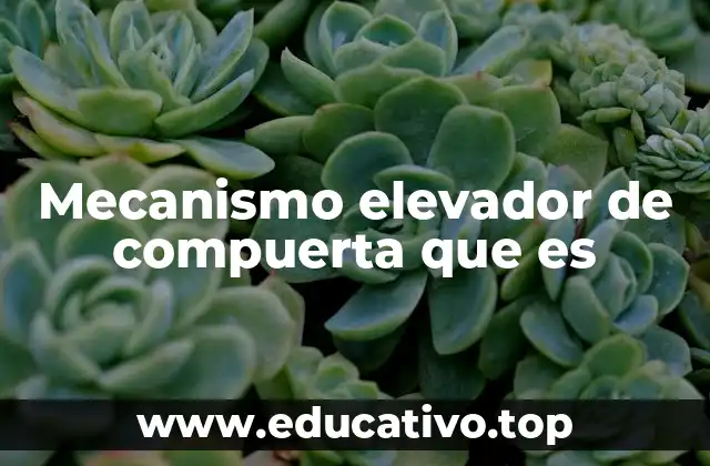 Mecanismo elevador de compuerta que es
